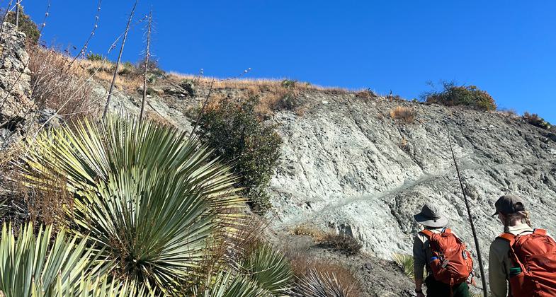 Little Pine Mountain portion of trail; Photo by eversurf.