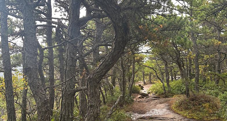 Summit. Photo by Janie Walker