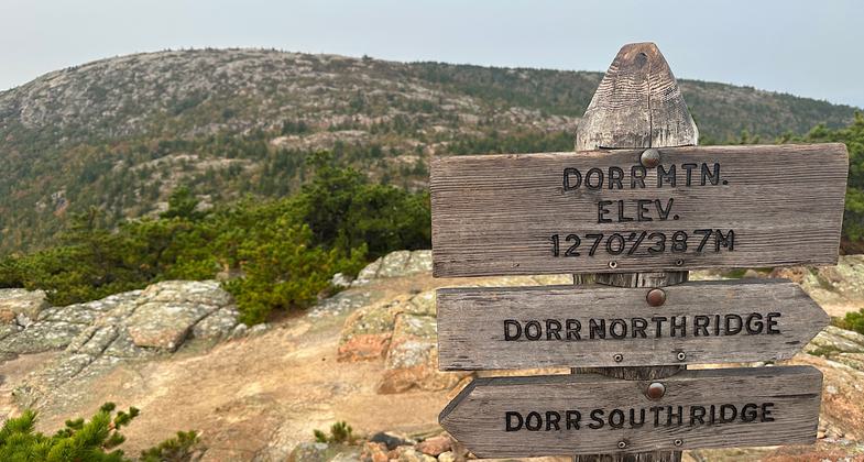 Summit. Photo by Janie Walker