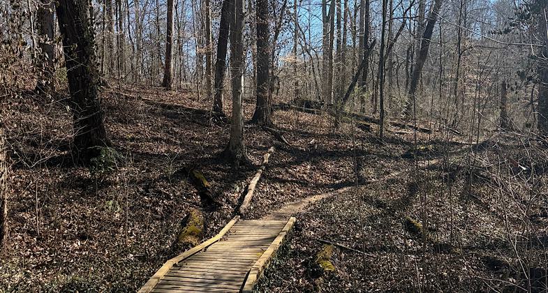 Keyhole entrance to Ross Marble Quarry at Ijams. Photo by Adventures On Earth