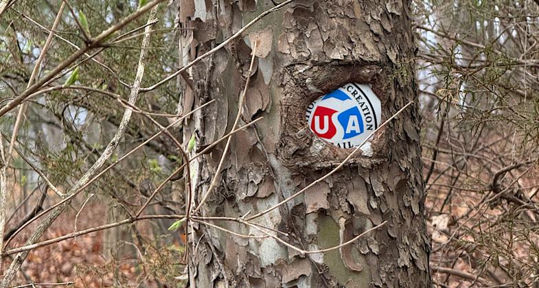 Nom nom. Photo by Patricia Ellis