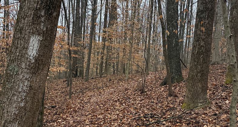 Steep bit with chain