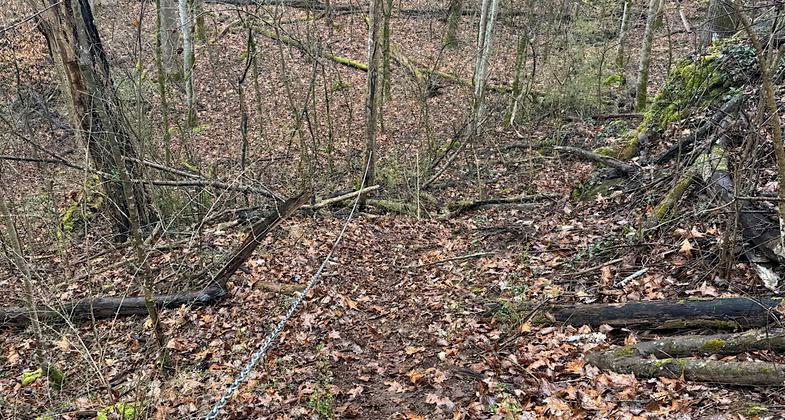 View from electric tower area