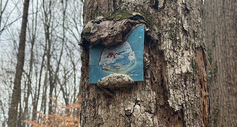 Nom nom. Photo by Patricia Ellis