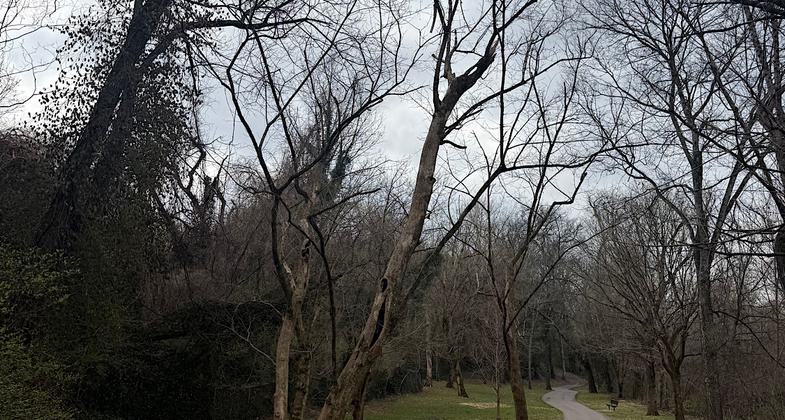 Photo by Jim Schmid.