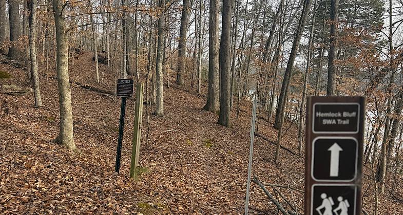 Photo by Suzanne Fisher.