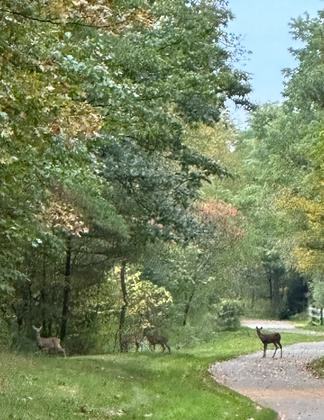 Early morning company