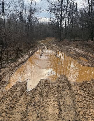 An example of the extensive damage caused by by ATVs
