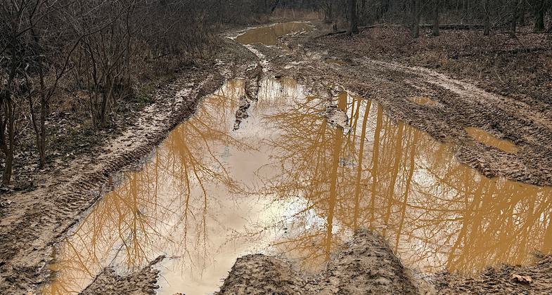 Leaf-covered Holes on a southern loop