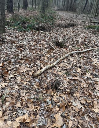 Leaf-covered Holes on a southern loop