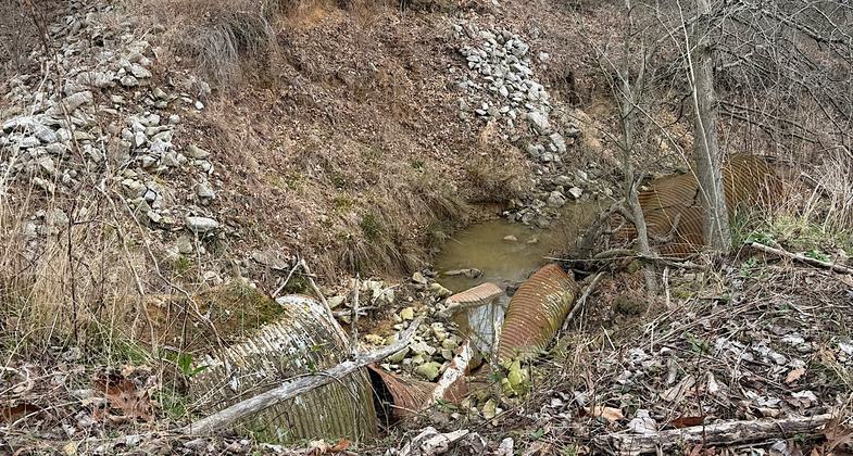 Nice lake access at beginning of trail