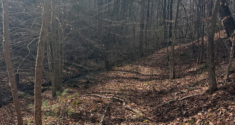 Exploring Bays Mountain Park's Trails. Photo by Tennessee Department of Tourist Development