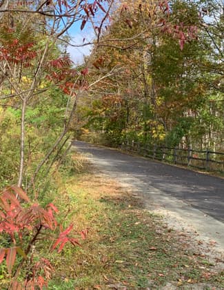 Fall colors on the trail