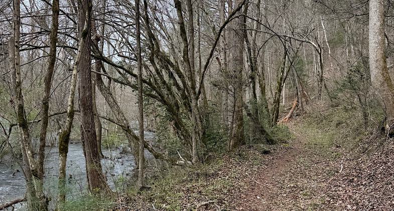 Hiwasee River. Photo by ChristopherM.