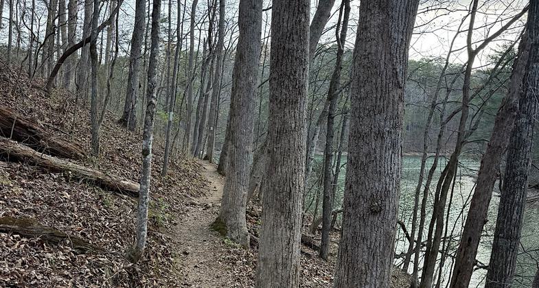 Mizell Bluff. Photo by Mark Gilliland.