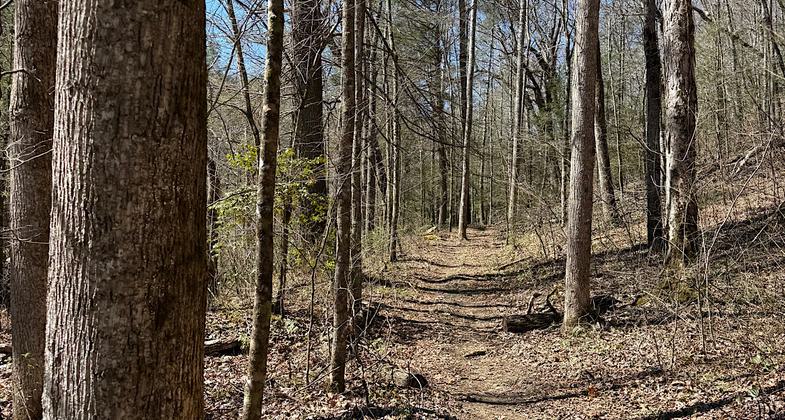 Piney River Nature Hike taken in 2010. Photo by Kelly Stewart.