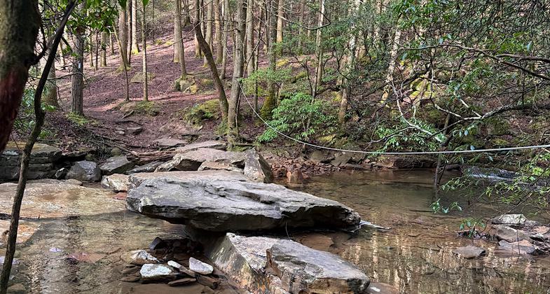 Virgin Falls to Upland Loop trail. Photo by Shannon Ours.