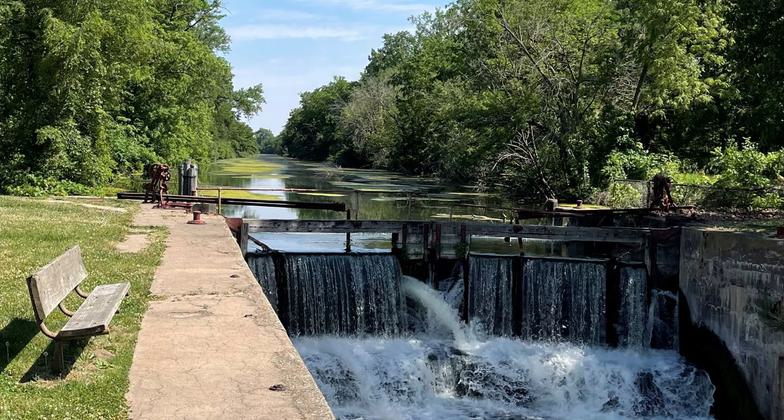 Golden Glory. Photo by Donna Mannon.