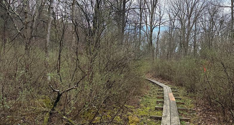 trail marker at MVB trail. Photo by Ann Scharoun