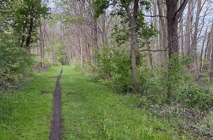 Genesee Valley Greenway State Park Trail