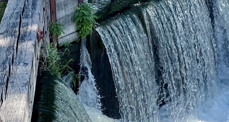 2023 Photo Contest Winner: Environmental Features, Flora, and Fauna. Photo by Joella Krause