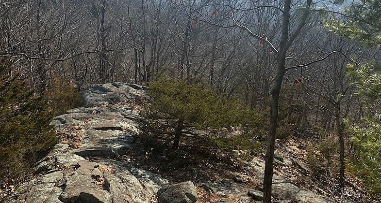 Sleeping Giant rises high above the woodlands of the surrounding valley. Photo by Justin Coleman.