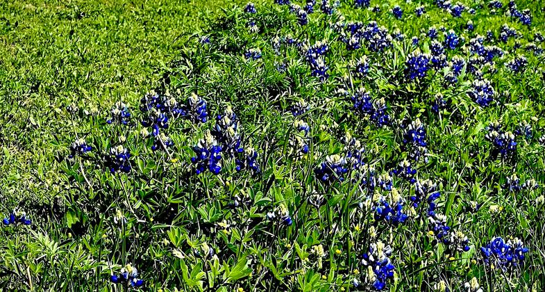 Winner 2024 NRT Photo Contest, Bicycling. Photo by Don Wendell