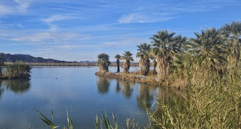 Near Betty's Kitchen at Mittry Lake. The wildlife area looks like this wetland area.