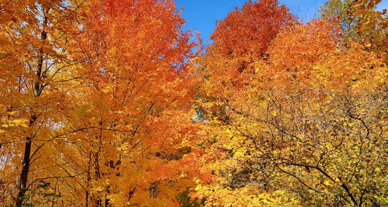Colorful Autumn Day on the Trail. Photo by Jim Allan.