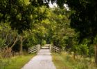 Bridges along the trail invite you to explore the next section. Photo by Will Daniel