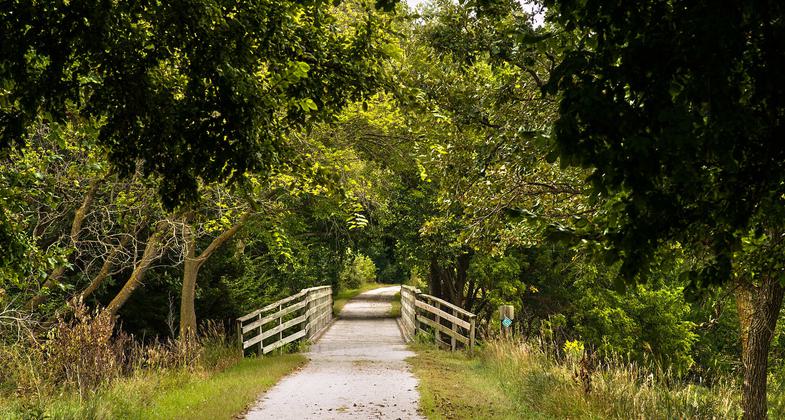 Bridges along the trail invite you to explore the next section. Photo by Will Daniel