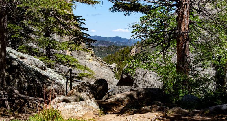 South Dakota - Custer State Park. Photo by Jonathan Voelz.