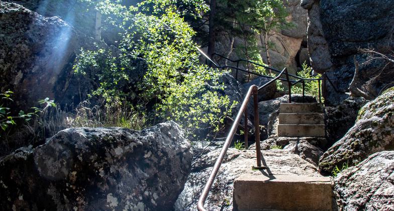 South Dakota - Custer State Park. Photo by Jonathan Voelz.