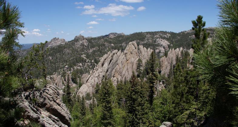 South Dakota - Custer State Park. Photo by Jonathan Voelz.
