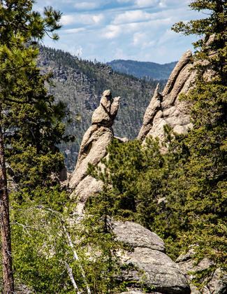 South Dakota - Custer State Park. Photo by Jonathan Voelz.
