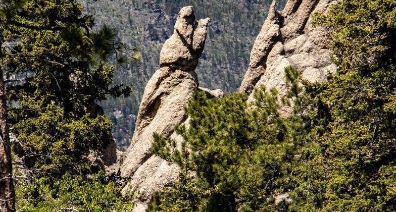 Winner 2024 NRT Photo Contest, The Trail as Photographic Inspiration