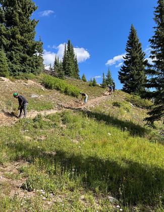 Friends of the Dillon Ranger District volunteers working on the Wheeler Trail in Breckenridge, CO. Photo by Lizzie Morrison.