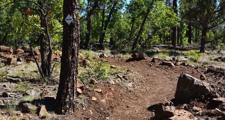View from Blue Ridge Trail
