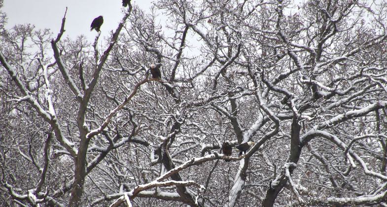 2023 Photo Contest Winner: Environmental Features, Flora, and Fauna. Photo by Joella Krause
