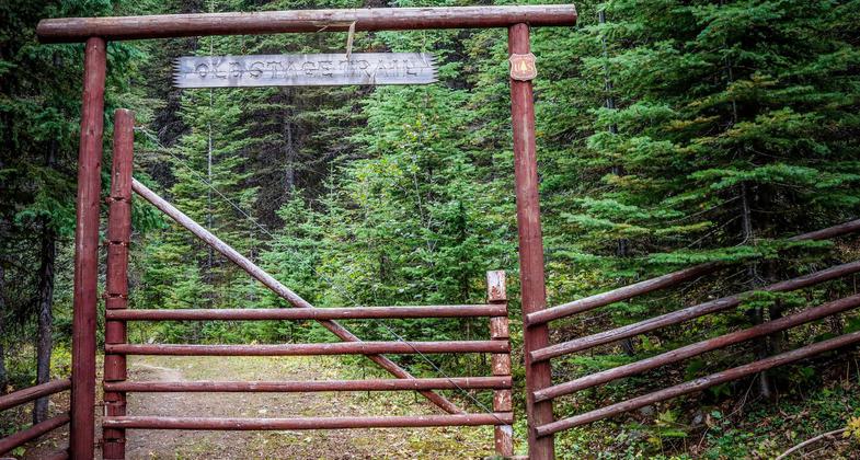 The Old Stage Trail is part of the Kettle Crest National Recreation Trail and was actually the first stage road used to get to Republic, WA in Ferry County.